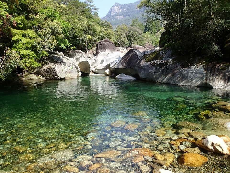 麹ウイスキーから始まった日本の樽熟成酒「菅原水鏡」 - 酒商菅原